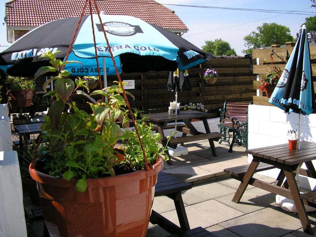 The Robertson Arms Hotel Carnwath Exterior photo